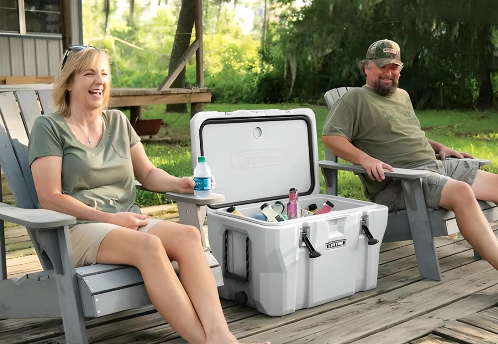 portable food cooler box
